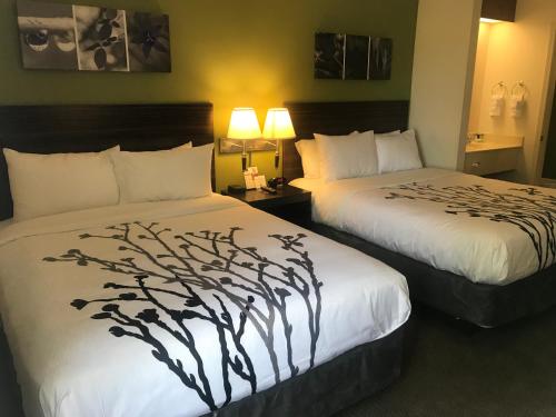 Sleep Inn Raleigh Durham Airport in Durham, USA
