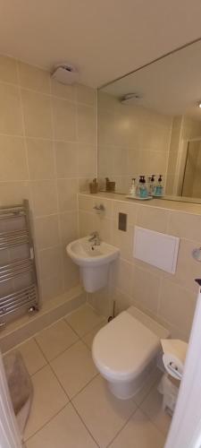 Cotswold Merrymouth Inn - image 9