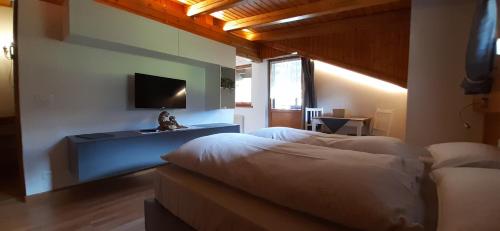 景觀, La Pineta Apartment in 費拉斯帕多拉 - 上科梅利科