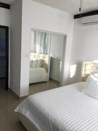 Island T Rental