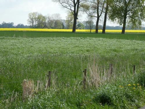 Surrounding environment, Ferienwohnung Nordlicht in Stade