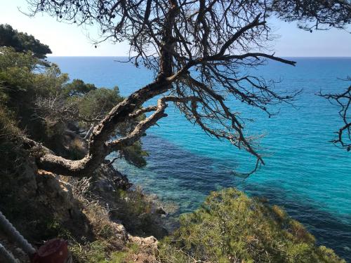  Super cosy! Apartamento en Canyamel Cala Agulla in Canyamel