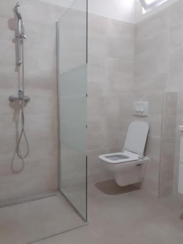 Apartment Maslina