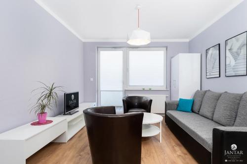 Standard Apartment image 4