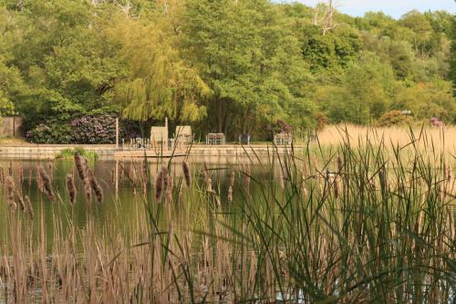 Inn On The Lake 5