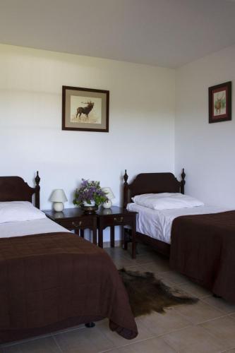 2 twin beds, 2 sofa beds