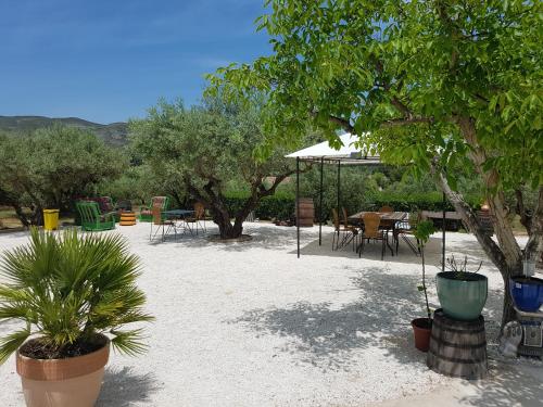 Finca La Higuera - image 12