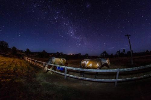 Myrtlemae Farm in บาลิงอัป