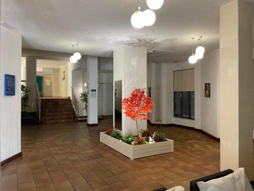 Lobby, studio la grande roue VUE MAGNIFIQUE in Agde