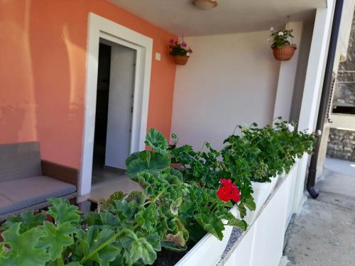  Apartman Anabella in Martinšćica