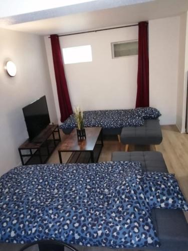 Appatement T3 meuble a neuf