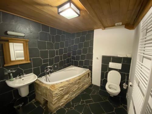 Sruby Haida in เซอร์เวนี คอสเตเลซ