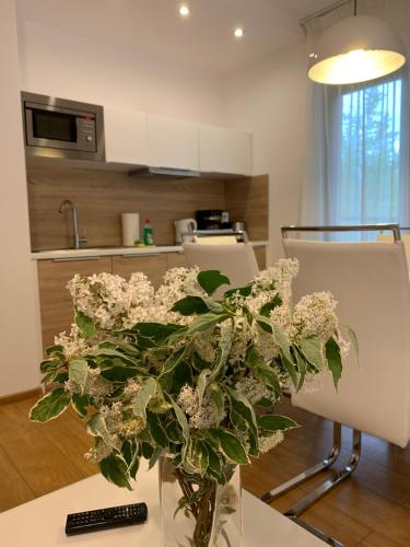 Apartament Mondi Kai I - idealny na pobyt w górach, Szklarska Poręba (photo 6)
