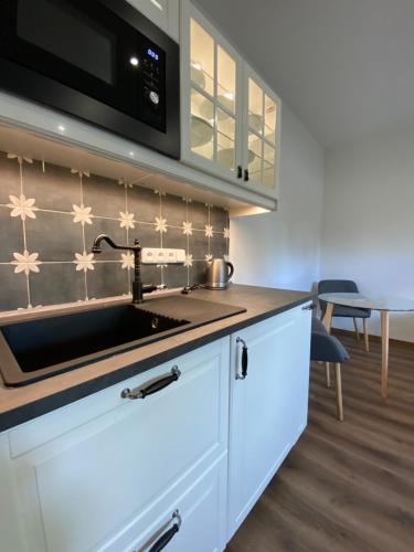 Kitchen, Apartmany V ulicce Frymburk in Frymburk City Center