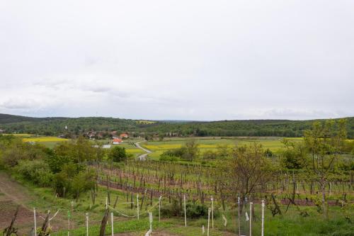 Apkārtne, Sasfészek Pihenő (Sasfeszek Piheno) in Velem