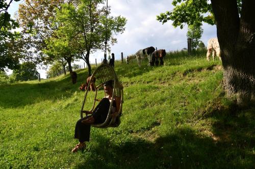 Leopold der Lamahutewagen in Semmering