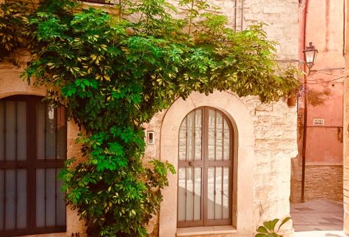  Palo del Colle Ierva Chiain, Guest House in Palo del Colle
