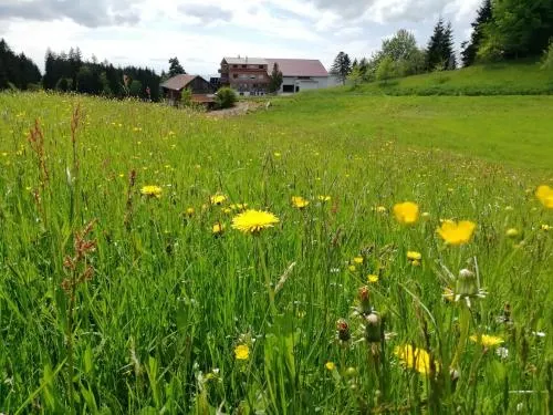 Stockreutehof in Sulzberg, Österreich