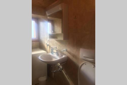  Alpia 26 - Zwei Zimmerwohnung in traditionellem Walliser Haus in Gasenried