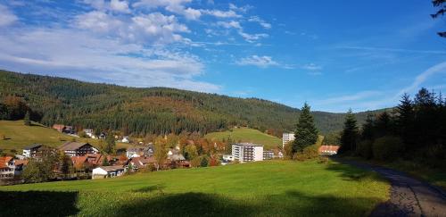 Ferienwohnung Tannenballett im Schwarzwald