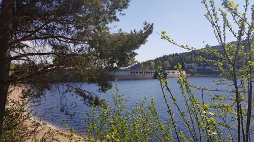 Ferienwohnung Tannenballett im Schwarzwald