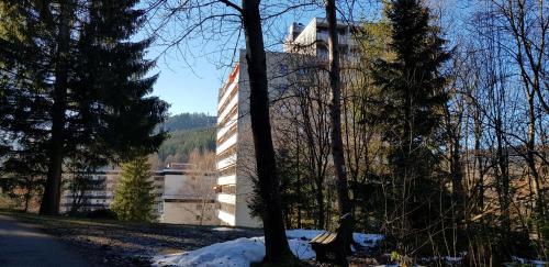 Ferienwohnung Tannenballett im Schwarzwald