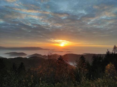 Ferienwohnung Tannenballett im Schwarzwald