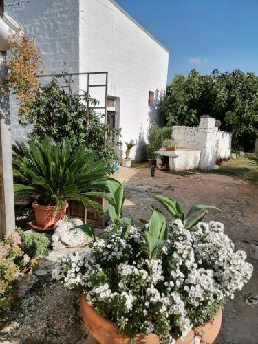 Trulli la casa di Rosa 4
