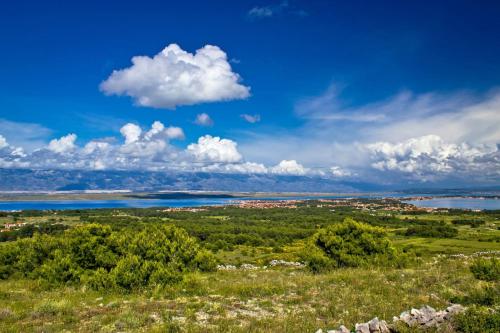 Studio Apartment in Vir with Terrace, Air Conditioning, Wi-Fi, Washing Machine (4781-1), Vir (Puntadura) (foto 7)