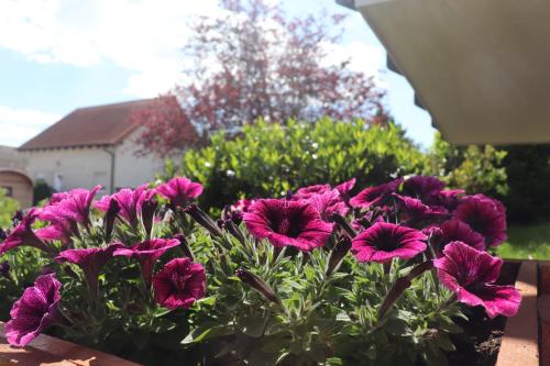 Ferienwohnung Pimer - image 4