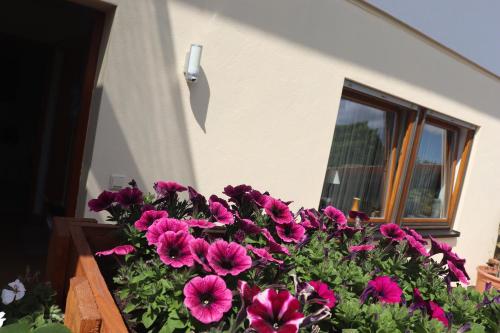 Ferienwohnung Pimer - image 14