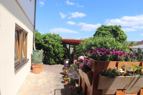 Viesnīcas āriene, Ferienwohnung Pimer in Ranschbach