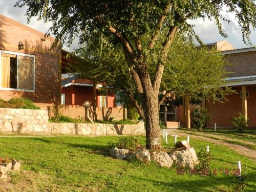Departamentos El Olmo
