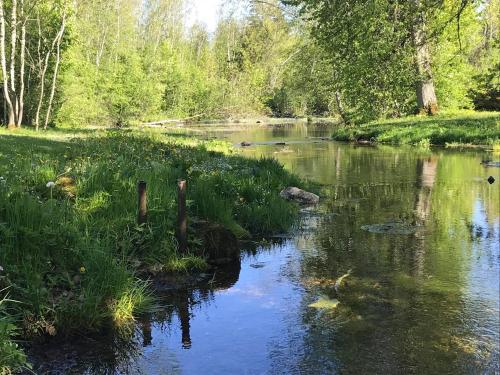 Allika külalistemaja Allika külalistemaja