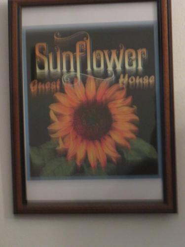 Sunflower gîte à louer Figueiras de Cima