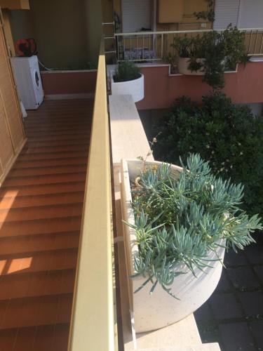 A Due passi dal mare con piscina