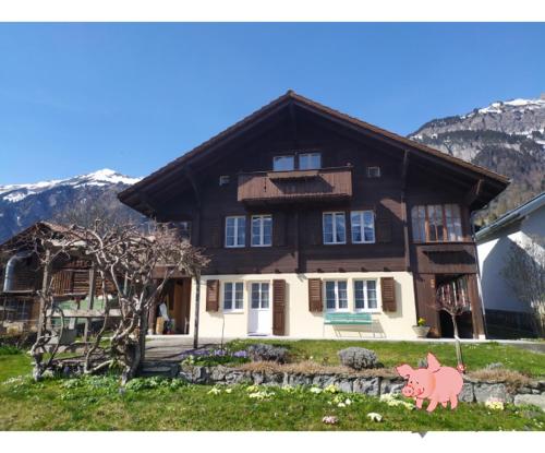 2 Zimmerwohnung Homestay Brienz Spanischgässli - Apartment - Brienz Axalp