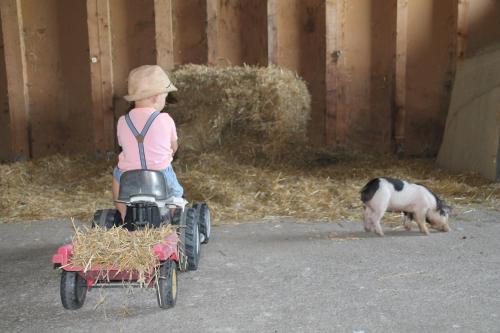  Böglerhof in Uderns