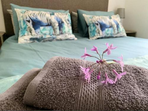 Stay Harties Accommodation Room Type - Apartment