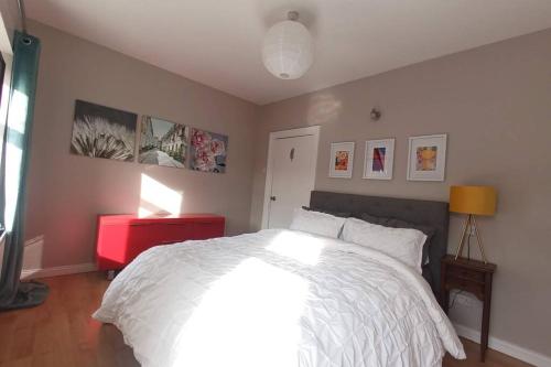Argyle House, 10 minute walk from city centre, Derry Londonderry (fotografie 9)