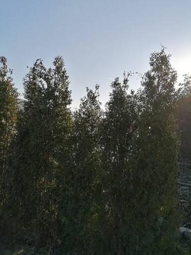 卡巴那德爾芬諾爾旅館