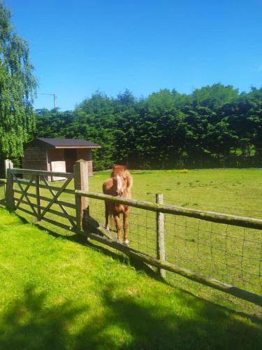 Yew Tree Barn