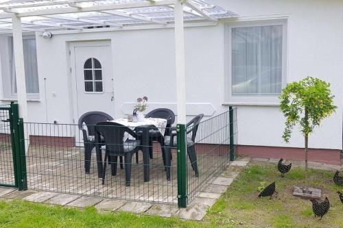 Garten-Bungalow 3 - image 12