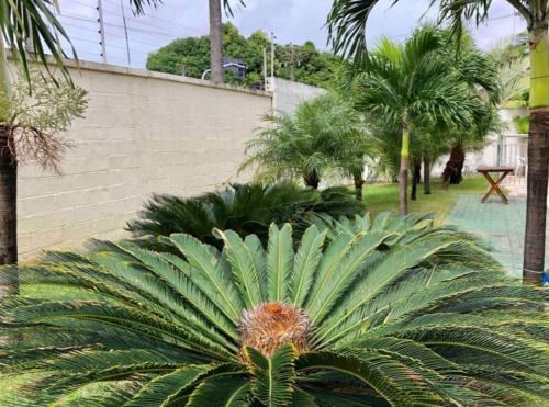 APT2 Piscina Netflix WiFi Ar Cond próx a 2 Shoppigns APT2 Piscina Netflix WiFi Ar Cond próx a 2 Shoppigns