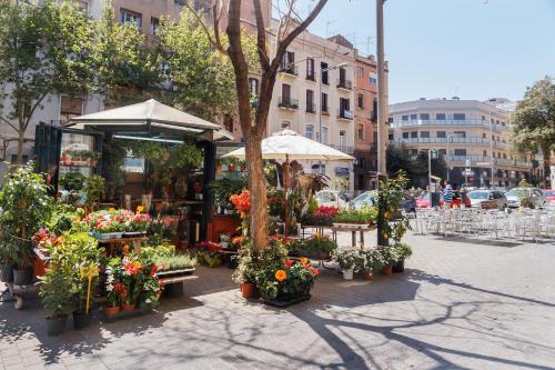 フィールアットホーム プラザ アパートメンツ