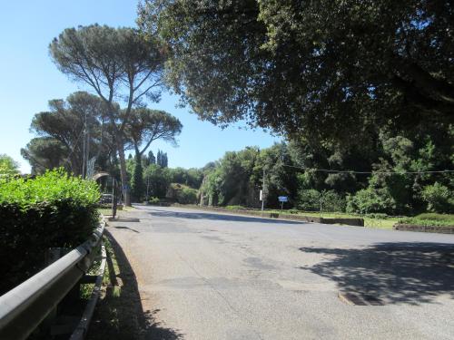 Radici Etrusche Sutri 4