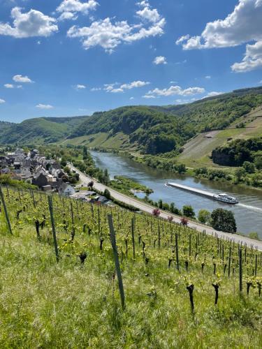 Apkārtne, Ferienwohnung Metzen in Burg (Mosel)