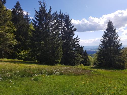 Ferienwohnung 32 im Ferienland Sonnenwald - Bayerischer Wald