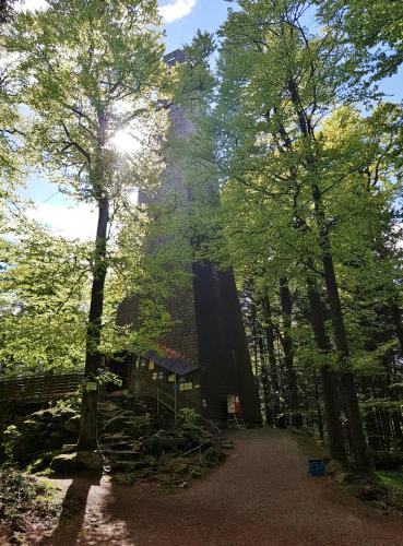 Ferienwohnung 32 im Ferienland Sonnenwald - Bayerischer Wald