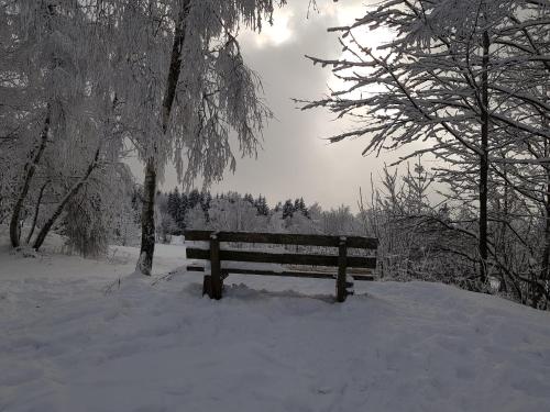 Ferienwohnung 32 im Ferienland Sonnenwald - Bayerischer Wald